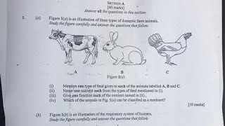 Famous 2026 BECE Science Original Papers, Questions & Answers Profile