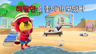 [모동숲•あつ森] 해탈한을 좇아가보았다.