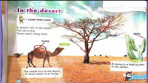 Connect plus (KG.1)  /  Unit.7 (Lesson.3)