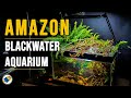 How to: Amazon River Blackwater Aquarium | Blackwater Aquarium Setup - MR BRIGHTFRYED