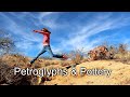 Petroglyphs and Pottery - A Backyard Adventure