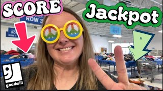 AMAZING Treasures Today | THRIFT WITH ME at the Goodwill Bins | What Can I Find For Resell??