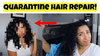 Repairing My Crazy Quarantine Curls | Curly Hair Routine
