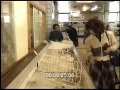 CCCР 1991 год. Универсам в Москве: Продукты и цены 90-х