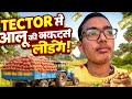 Village Potato Harvest | Loading Potatoes in Tractor from Field 🚜🥔