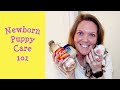 How To Care For Newborn Puppies Ep 2 Potty Time