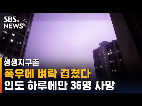인도 &amp;#39;<strong>낙뢰</strong>&amp;#39; 사고…하루에만 &amp;#39;36명&amp;#39; 사망 / SBS / 생생지구촌