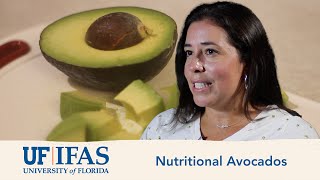 Avocado Nutritional Facts Details
