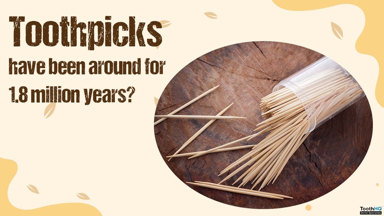 Toothpicks have been around for 1.8 million years? - YouTube