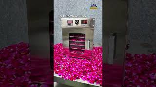 Rose Dehydrator Machine से Rose Powder Business शुरू करें | Flower Drying Machine