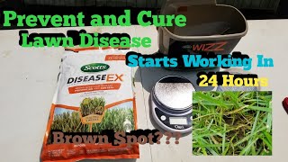 How To Use Scotts Disease Ex/How To Prevent Lawn Fungus