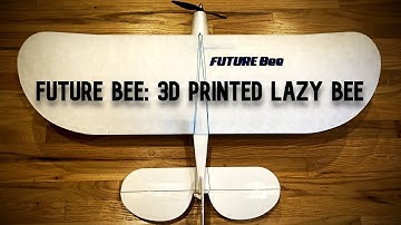 FUTURE Bee Maiden Flights (3D Printed Lazy Bee)