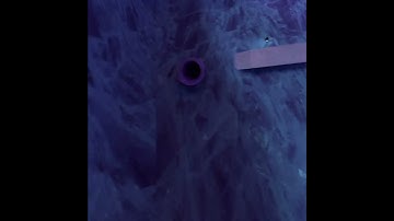 Day 1 of secret tunnel until 200 subs! #gtag #gorillatag #fyp #shorts #secretTunnel