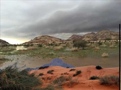 شرح أبيات من الشعر الفصيح