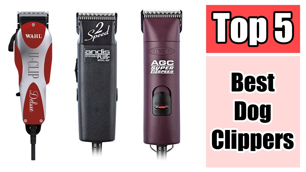 best dog clippers