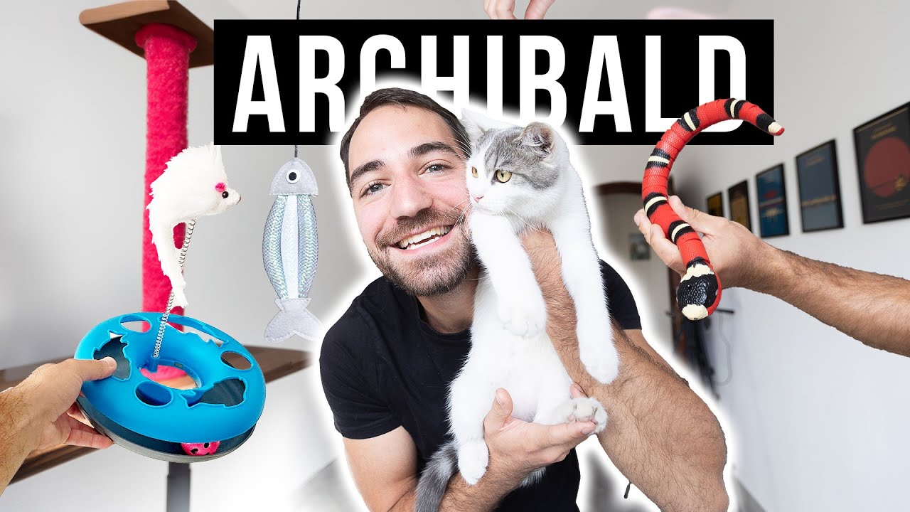 Furcsa CICA JÁTÉKOKAT Próbáltunk Ki Archibalddal!