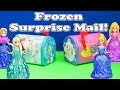 The Assistant Opens Frozen Surprise Mail Boxes with Elsa and Anna