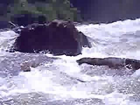 Caroline runs a rapid on the Tygart River