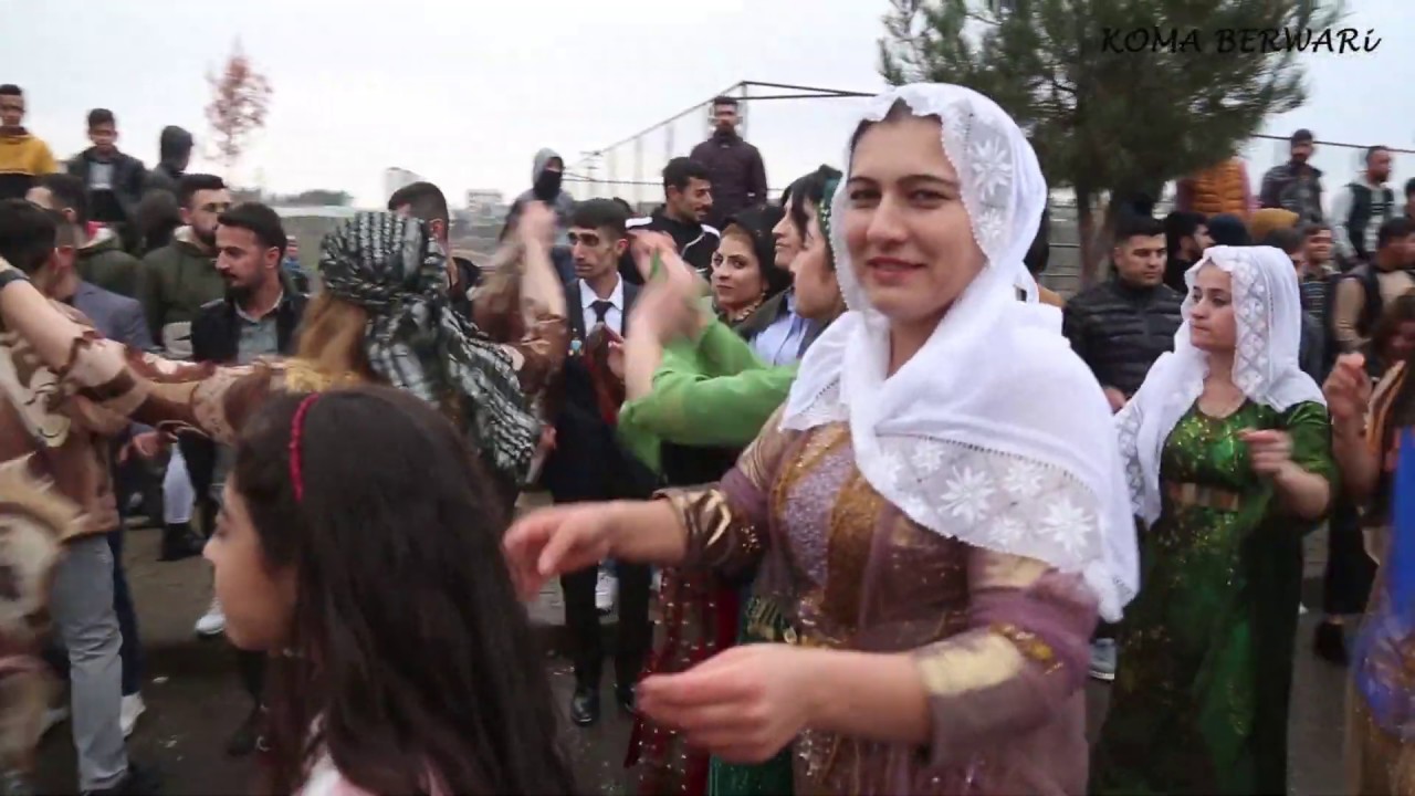 Şiyar Berwari - Grup Nihat Silopi - Cizre Düğünü XELEF  [ 2020 © HD ]      05.01.2020
