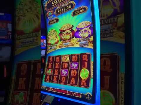 Golden Buffalo Casino Bonus Round Online Casino Real Money