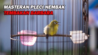 Download Lagu MASTERAN PLECI GACOR NEMBAK, TEMBAKAN BARBARA PALING DICARI DI GANTANGAN MP3 Download Lagu MASTERAN PLECI GACOR NEMBAK, TEMBAKAN BARBARA PALING DICARI DI GANTANGAN MP3
