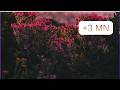 💔 “Porcelain Tears | Emotional Piano Song That Will Break You (2026)”