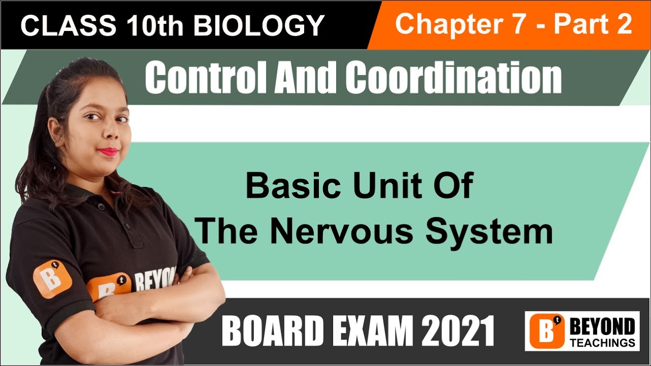 Class 10 Biology - Control And Coordination - Basic Unit Of The Nervous ...