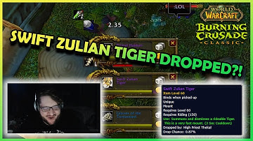Bean 3-mans Zul-Gurub and gets Swift Zulian Tiger?! | Daily Classic WoW Highlights #351 |