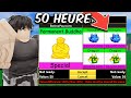 Jai trade tout les fruits permanent lgendaire pendant 50 heures  blox fruits