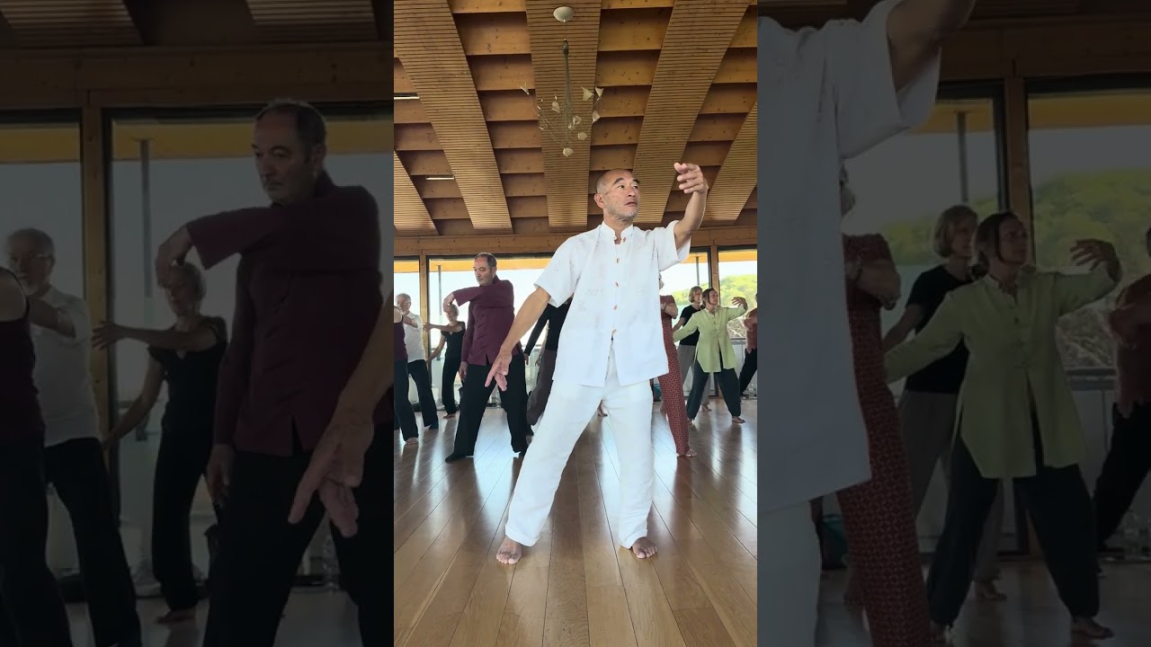 La Danse des Fascias (1ere partie) - Maitre Liu Deming