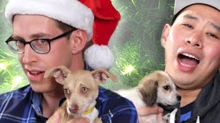 Drunk Guys Get Surprised By Puppies