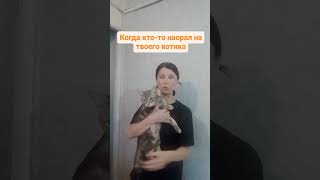 😂😂 #Cat #Shortscats #Tiktok #Ржачныевидео #Юмор #Смех_До_Слез #Смех #Приколы #Cats