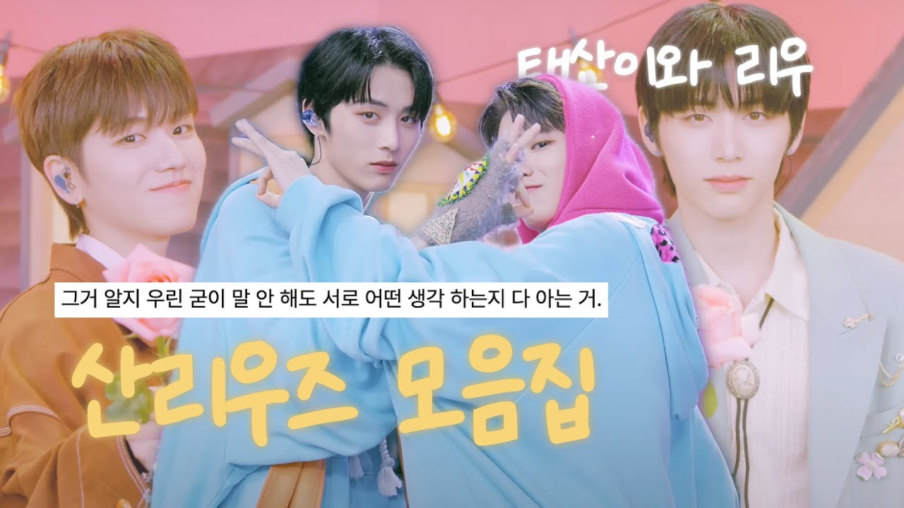 [보넥도] 말 안 해도 서로 다 아는 태산 리우 산리우즈 모음 🐈‍⬛ 🦦