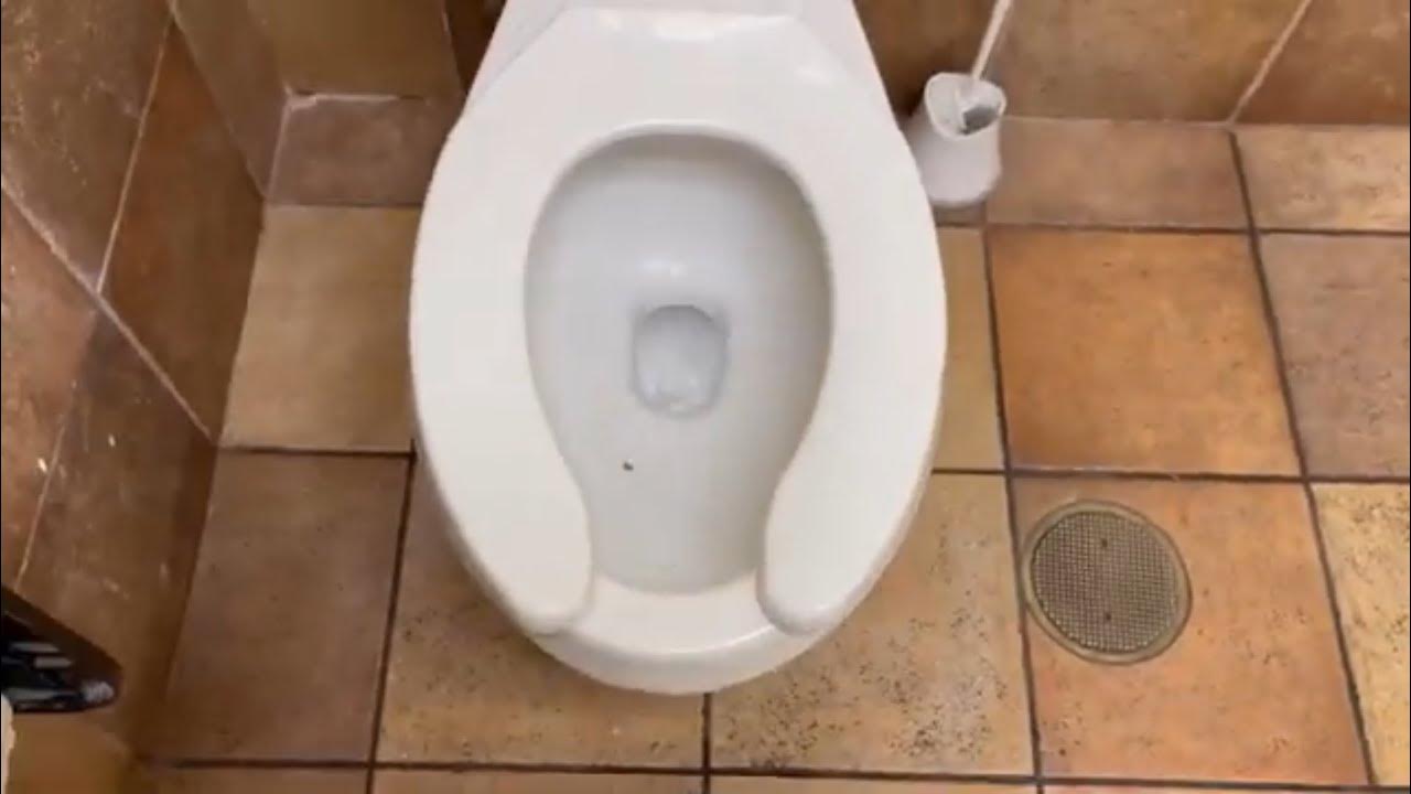 PetSmart Men’s Restroom YouTube