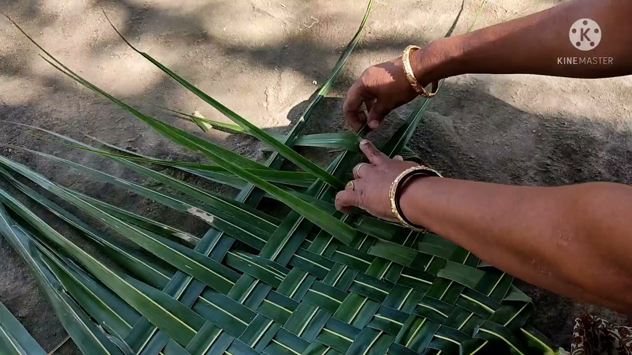 Thennai Olai Pinnuvathu Eppadi In Tamil/How To Weave Coconut Palm For Hut Roofing/Agni Samayal