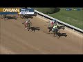 Oaklawn Park April 9, 2022 The Rainbow Miss