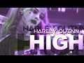 Harley Quinn - High