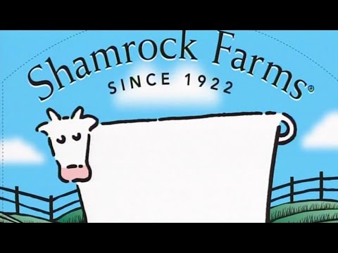 shamrock farms factory tour