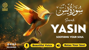Calming Surah Yasin for Insomnia Relief, Stress, Mental Calm ✦ Quran For Sleep ✦ سورة يس