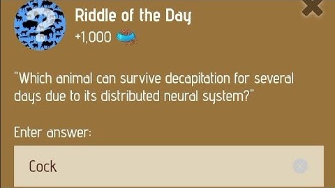5 January Zoo Riddle of the day code | Riddle of the day code | #zooriddlecode | #khpalwakurmar