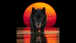 Download lagu Black Dog (first edition)
