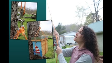 HEAVY Layens Swarm Traps? Get Them Down SAFELY With THIS System!