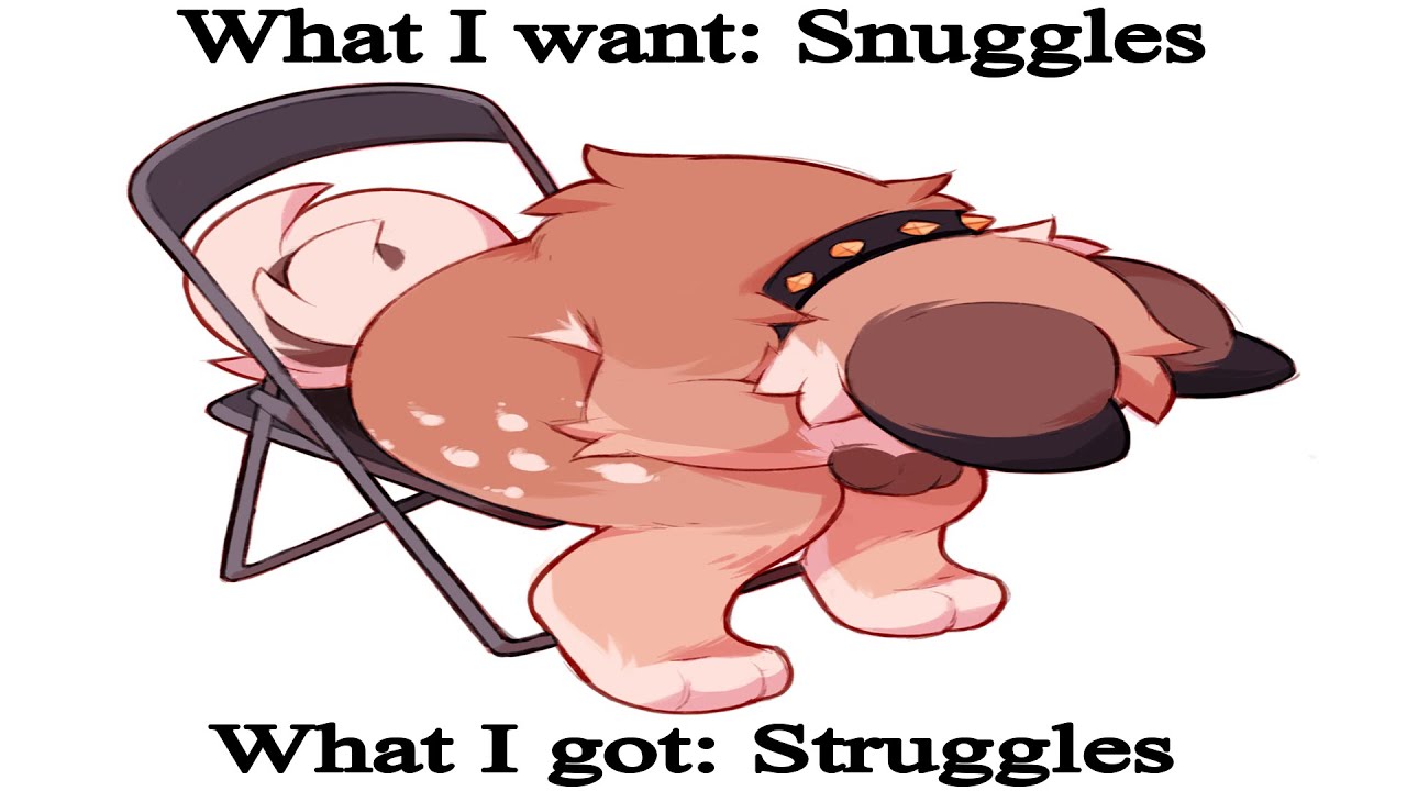 Furries Sent AWFUL MEMES To My Discord YouTube furries-sent-awful-memes-to-my-discord-youtube