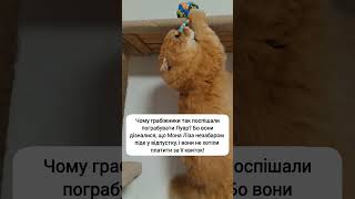 Мона Ліза #лувр #музей #париж #paris #france #пограбування #прикраси #жарти #юмор #гумор