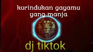 Kurindukan gaya mu kekasih || di remix tiktok