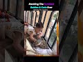 Ranking The Funniest Babies & Cats Ever 🥰 🤗