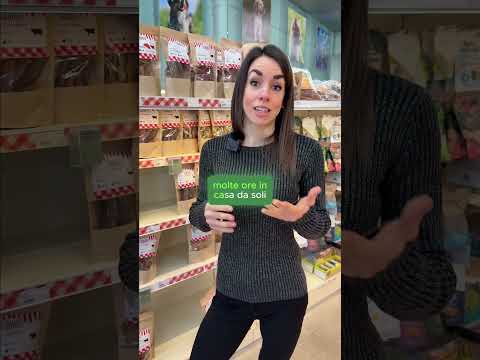 Video L'importanza dei masticativi per il tuo pet