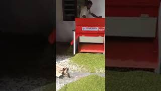 Pepper decorning machine