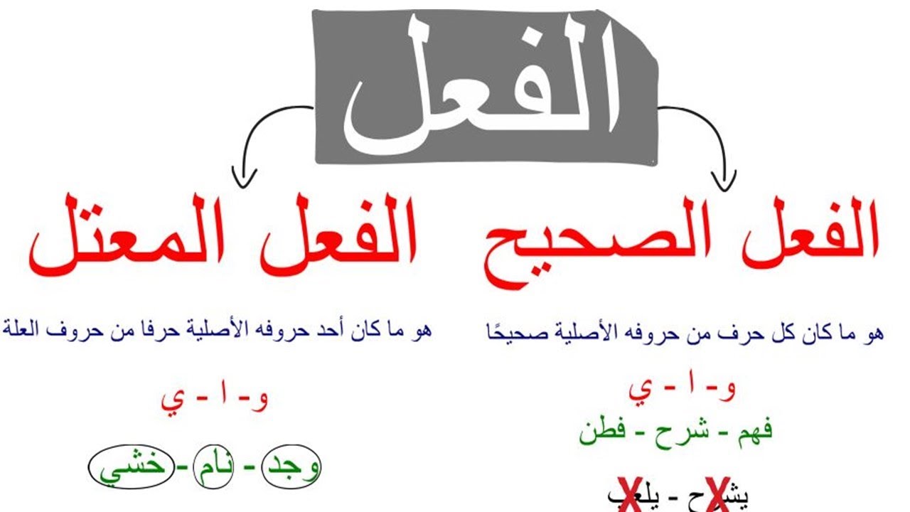 الأفعال التالية أفعال صحيحة وغير معتلة أخذ ظل كتب جاء صواب خطأ