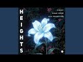 AMIDY & Dead Rose - Heights (Feat. Dia Frampton) (Video Release)